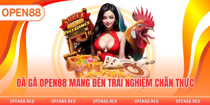 Đá gà OPEN88 mang đến trải nghiệm chân thực