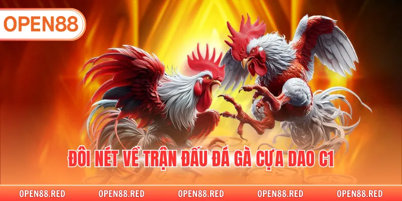 Đôi nét về trận đấu đá gà cựa dao c1