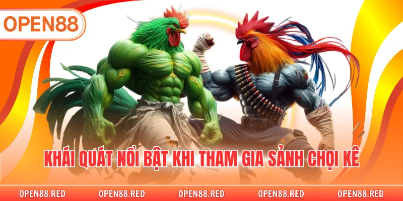 Khái quát nổi bật khi tham gia sảnh chọi kê