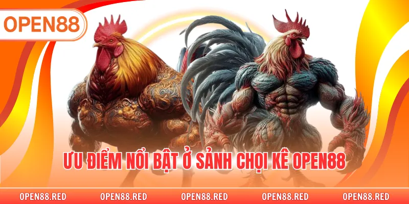 Ưu điểm nổi bật ở sảnh chọi kê OPEN88